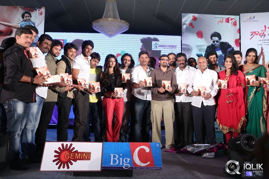 Gallo-Telinattunde-Movie-Audio-Function